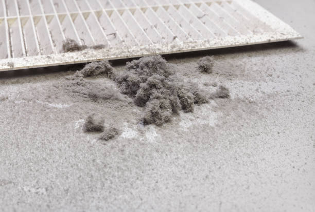 Air Duct Mold Removal in NM