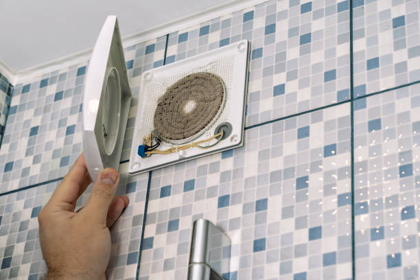 Best Air Duct Mold Removal  in Sandia Knolls, NM
