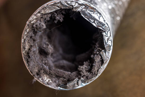 Best Affordable Air Duct Cleaning  in Sandia Knolls, NM